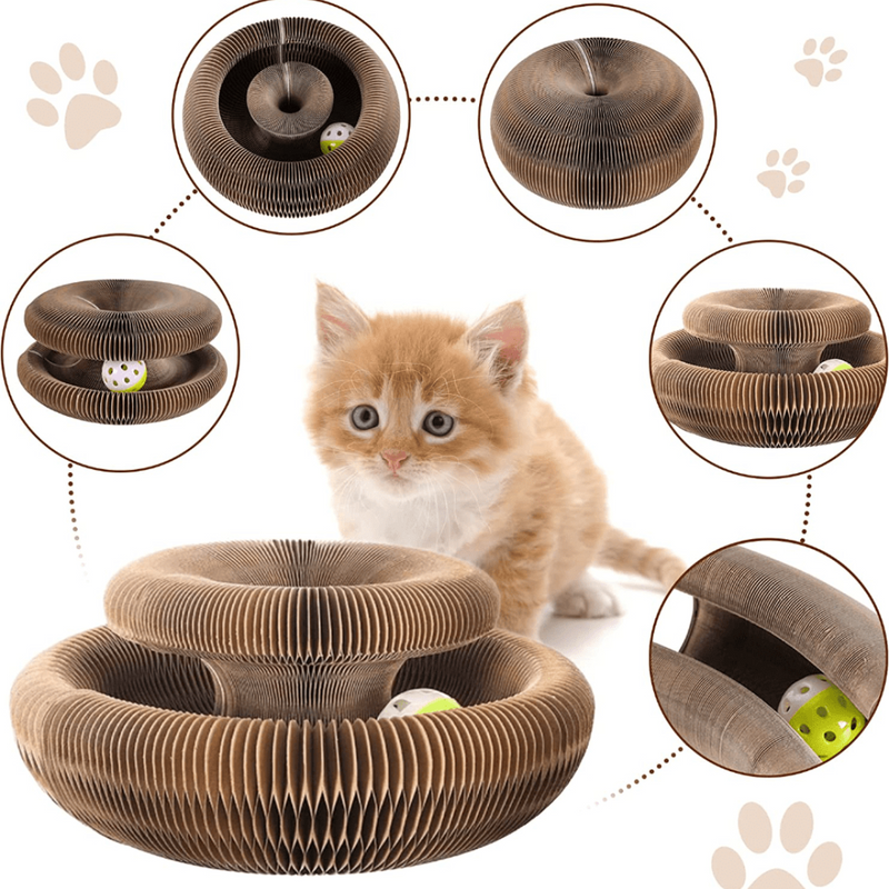 Brinquedo Interativo Para Gatos I Cat Joy + 1 Bola de Brinde - TÁ-LÁ Brasil