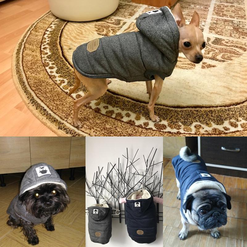 Colete de Inverno para Cachorros | Gentleman - TÁ-LÁ Brasil