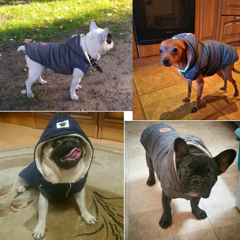 Colete de Inverno para Cachorros | Gentleman - TÁ-LÁ Brasil